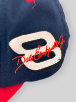 Load image into Gallery viewer, Vintage Dale Earnhardt Snapback
