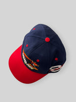 Load image into Gallery viewer, Vintage Dale Earnhardt Snapback
