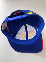 Load image into Gallery viewer, Vintage Nascar Jeff Gordon Snapback Hat
