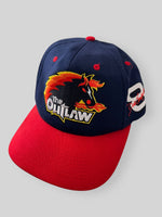 Load image into Gallery viewer, Vintage Dale Earnhardt Snapback
