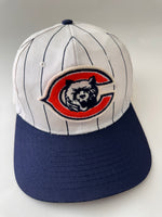 Load image into Gallery viewer, Vintage Chicago Bears Snapback Hat
