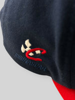 Load image into Gallery viewer, Vintage Dale Earnhardt Snapback
