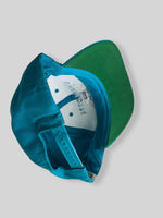 Load image into Gallery viewer, Vintage Charlotte Hornets Snapback
