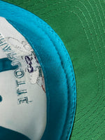 Load image into Gallery viewer, Vintage Charlotte Hornets Snapback
