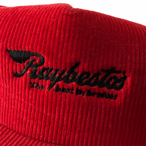 Vintage Raybestos Hat
